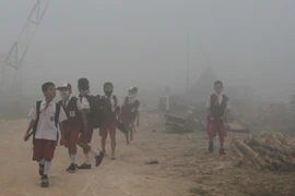 Many schools in Indonesia closed due to smoke from forest fires