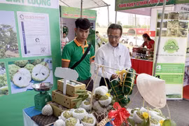Tay Ninh promotes safe agricultural products, foodstuff in HCM City