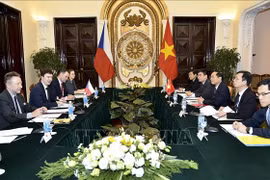 Vietnam, Czech Republic hold political consultation 