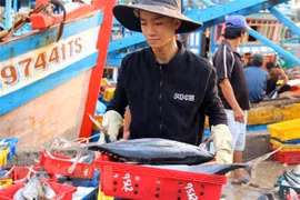 Kien Giang strives to crack down IUU fishing