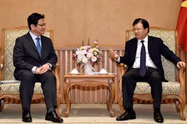 Deputy PM receives leader of Japan bank for international cooperation