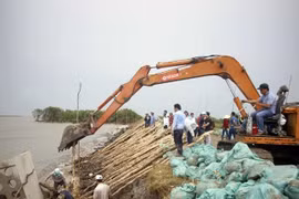 Land subsidence a big threat to Mekong Delta 