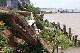 Over 6,000 households in Dong Thap need relocation due to landslides