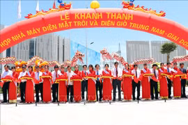 Cluster of solar power plants inaugurated in Ninh Thuan 