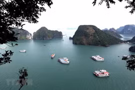 US newspaper names Ha Long Bay among world’s 35 most beautiful natural wonders
