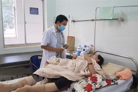 Hanoi’s health sector prepares to tackle dengue fever