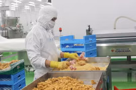 Dong Nai records fast FDI disbursement