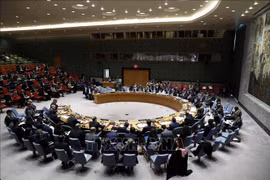 Vietnam well prepared for non-permanent seat at UNSC: Indonesian ambassador 