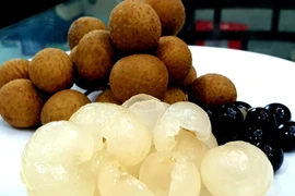 First batch of fresh Vietnamese longan arrives in Australia