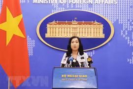 Vietnam values comprehensive partnership with US: spokesperson