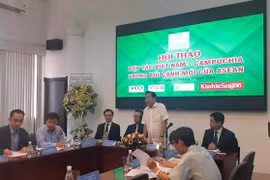 Vietnam, Cambodia hold untapped economic cooperation potential 