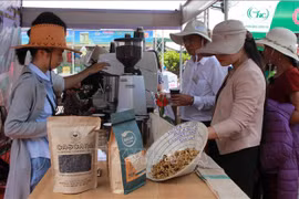 Vietnamese goods to be displayed in South Africa 