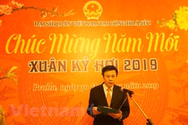 Vietnamese expats in Czech Republic, Algeria celebrate Tet festival