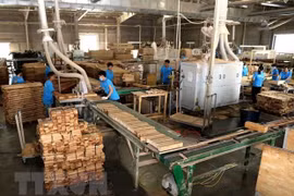 Promoting socially responsible practices in wood, seafood processing