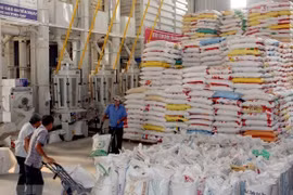 Vietnam-Africa trade reaches 6.6 billion USD in 2018