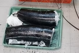 Elephant tusk trafficker arrested in HCM City