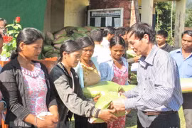 More than 400 tonnes of rice supplied for poor people in Yen Bai