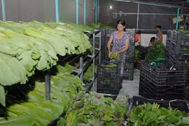 HCM City aims to have no poor households by end of 2020