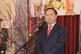 Vietnamese in Russia, Chile celebrate traditional Lunar New Year