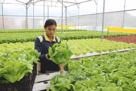HCM City invests over 30 trillion VND in southern localities