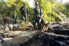 Vietnamese, Cambodian localities intensify border work 