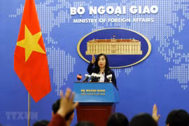 China’s recent activities in Hoang Sa violate Vietnam’s sovereignty: spokeswoman