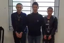 Drug trafficking ring from Son La to Hanoi intercepted