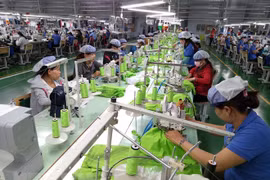 EVFTA opens new era in Vietnam-EU trade ties: Italian experts