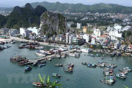 Quang Ninh’s Mong Cai city supports businesses