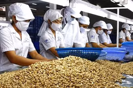 Hanoi boosts exports to Africa 