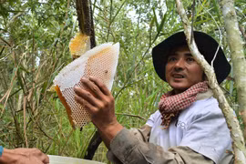 Ca Mau promotes key agricultural products