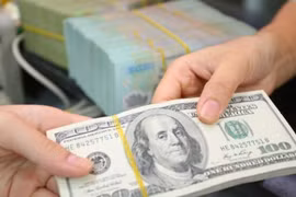 Reference exchange rate revised down on May 17