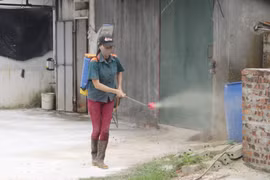 Vietnam receives int’l support in coping with African swine fever