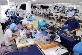 Vietnam-Czech Republic trade up 5.6 percent in first half 