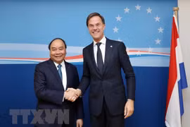 Vietnam, Netherlands expected to set up comprehensive partnership