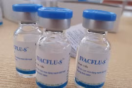 Vietnam-made seasonal influenza vaccines available on market
