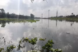 Flooding causes four deaths, heavy losses in central region