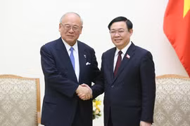 Vietnam treasures extensive strategic partnership with Japan 