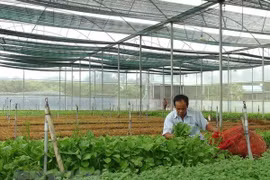 2,200 new agricultural firms formed in 2018