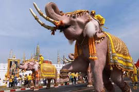 Elephant procession held to honour King of Thailand