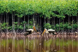Workshop discusses protected area governance in Vietnam