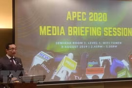 APEC Year 2020 to begin in November 