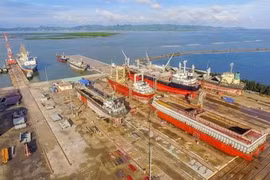 Vietnam moves to modernise shipping fleet