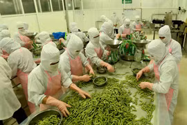 An Giang: Exports grow sharply in four months