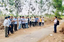 USAID project assists Thua Thien – Hue in forest management 
