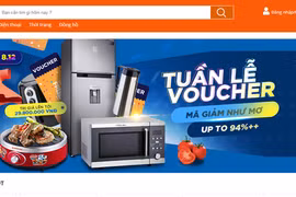 Vietnam E-Pavilion on e-commerce platforms debuts