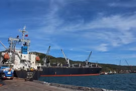 Chinese port group wants to open container line to Vung Ang port