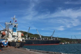 Chinese port group wants to open container line to Vung Ang port