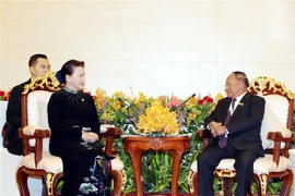 NA Chairwoman urges early completion of Vietnam-Cambodia border demarcation 