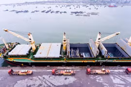Nghe An strives to fill industrial parks